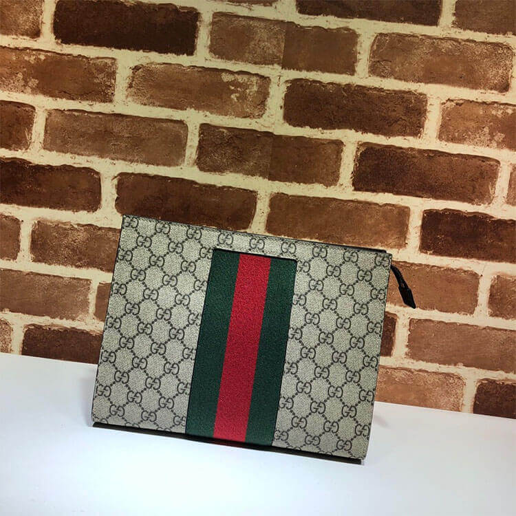 gg S*p*e web pouch