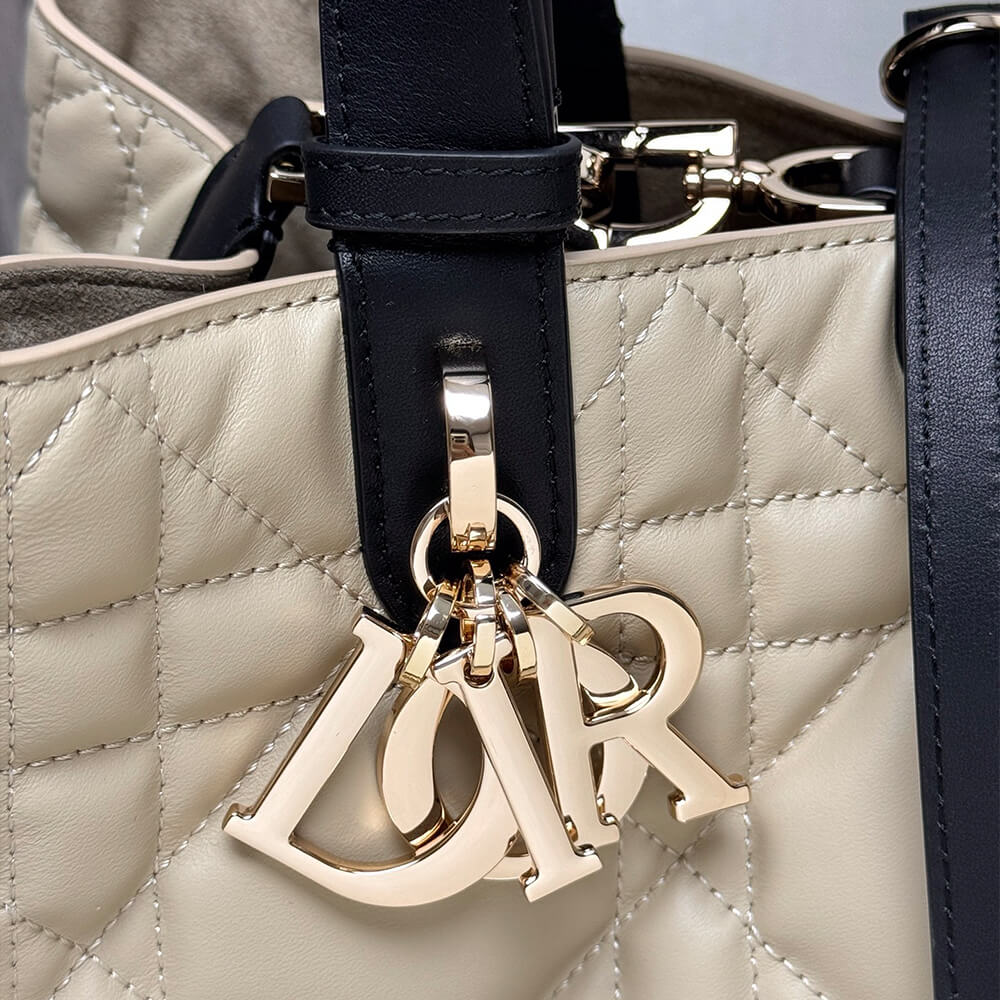 medium D*or toujours bag