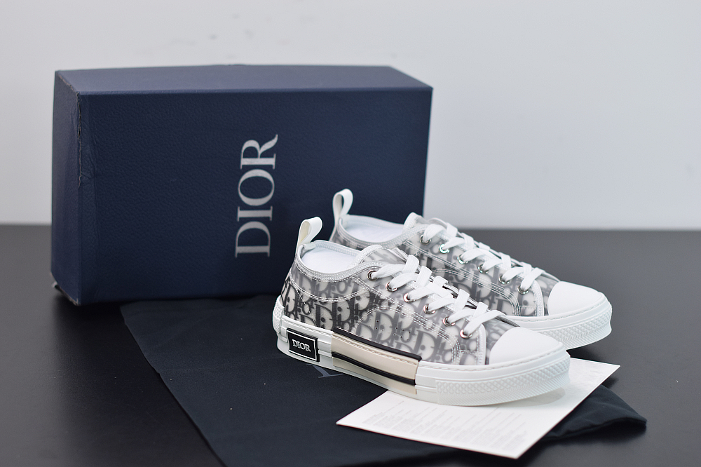 D10r low oblique sneakers
