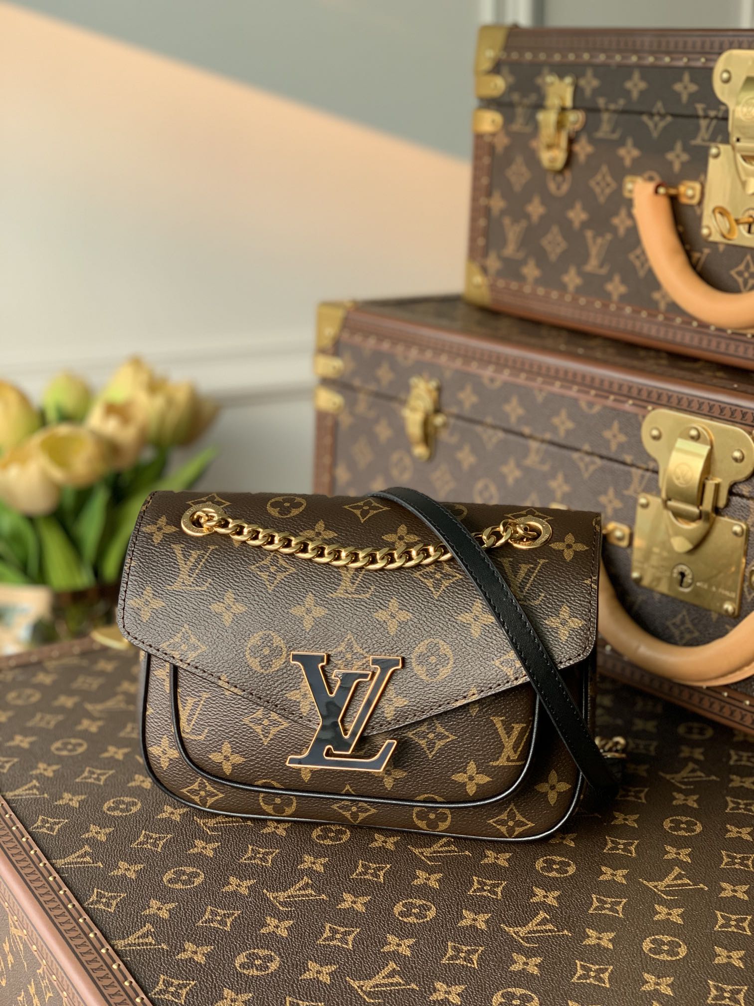 l0vis Vvtt0n passy monogram m45592 22 x 17 x 10cm