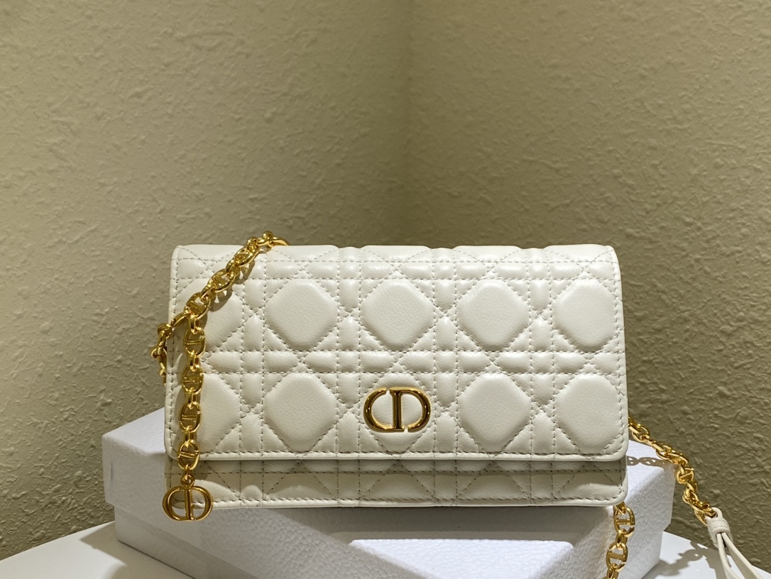 d10r caro belt pouch with chain S*pple cannage calfskin white s5091 20 x 11.5 x 3.5 cm
