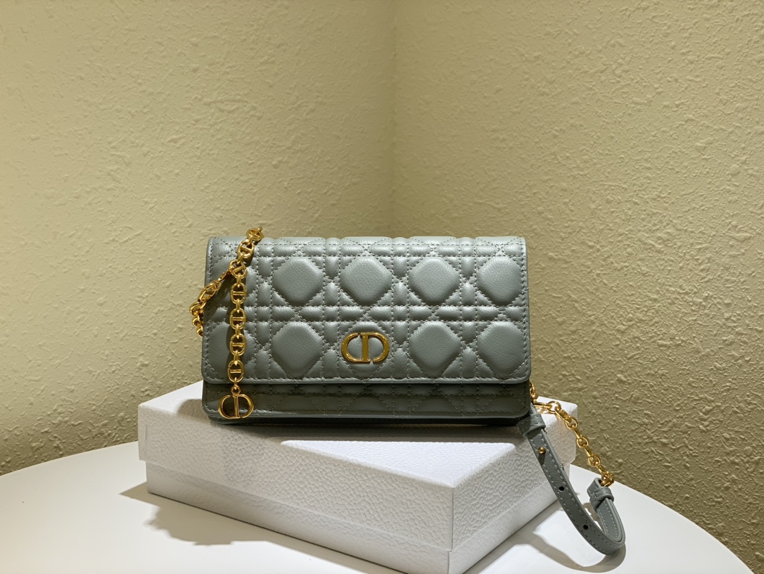 d10r caro belt pouch with chain S*pple cannage calfskin gray s5091 20 x 11.5 x 3.5 cm