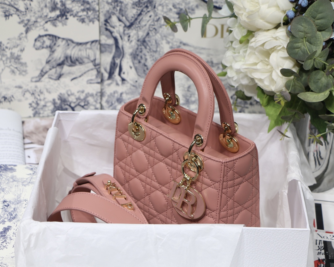 D10r lady D10r my abcD10r bag powder pink m0538 20cm