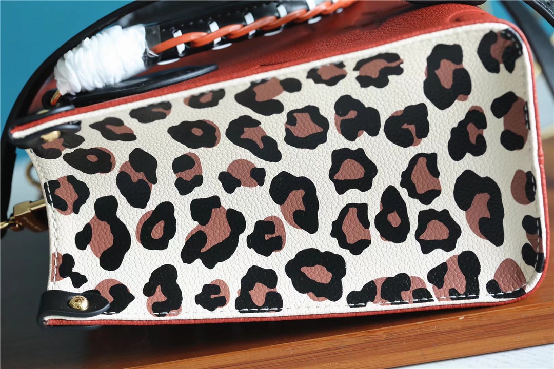 l0vis Vvtt0n onthego pm m57553 25cm