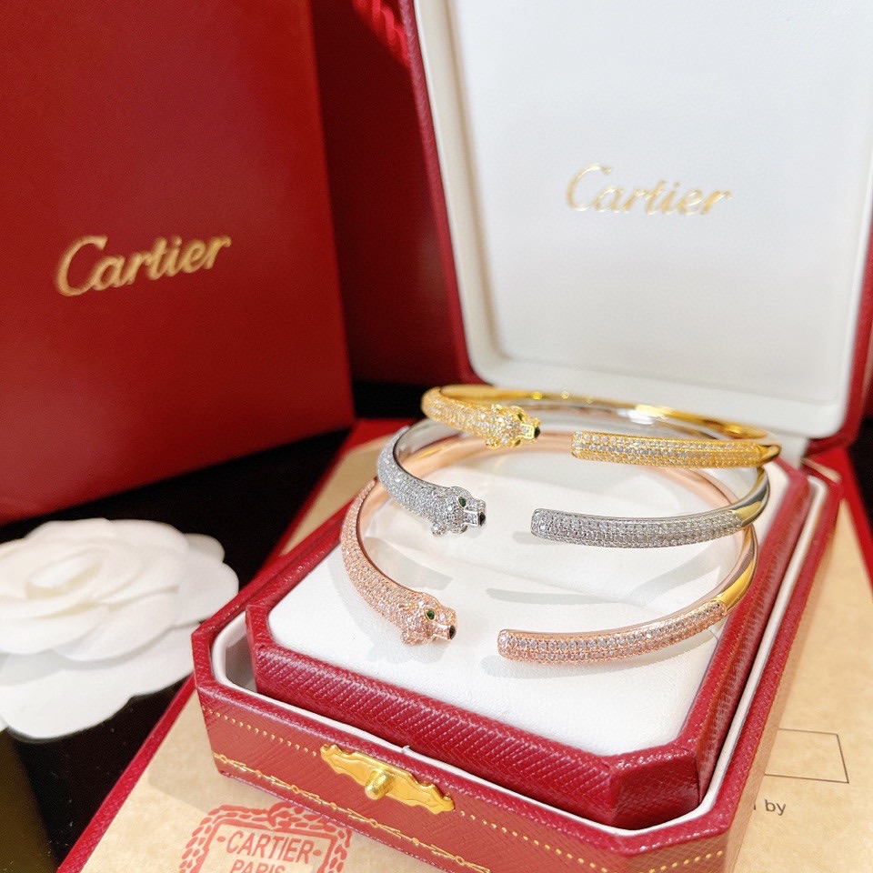 Ca*t1er18220