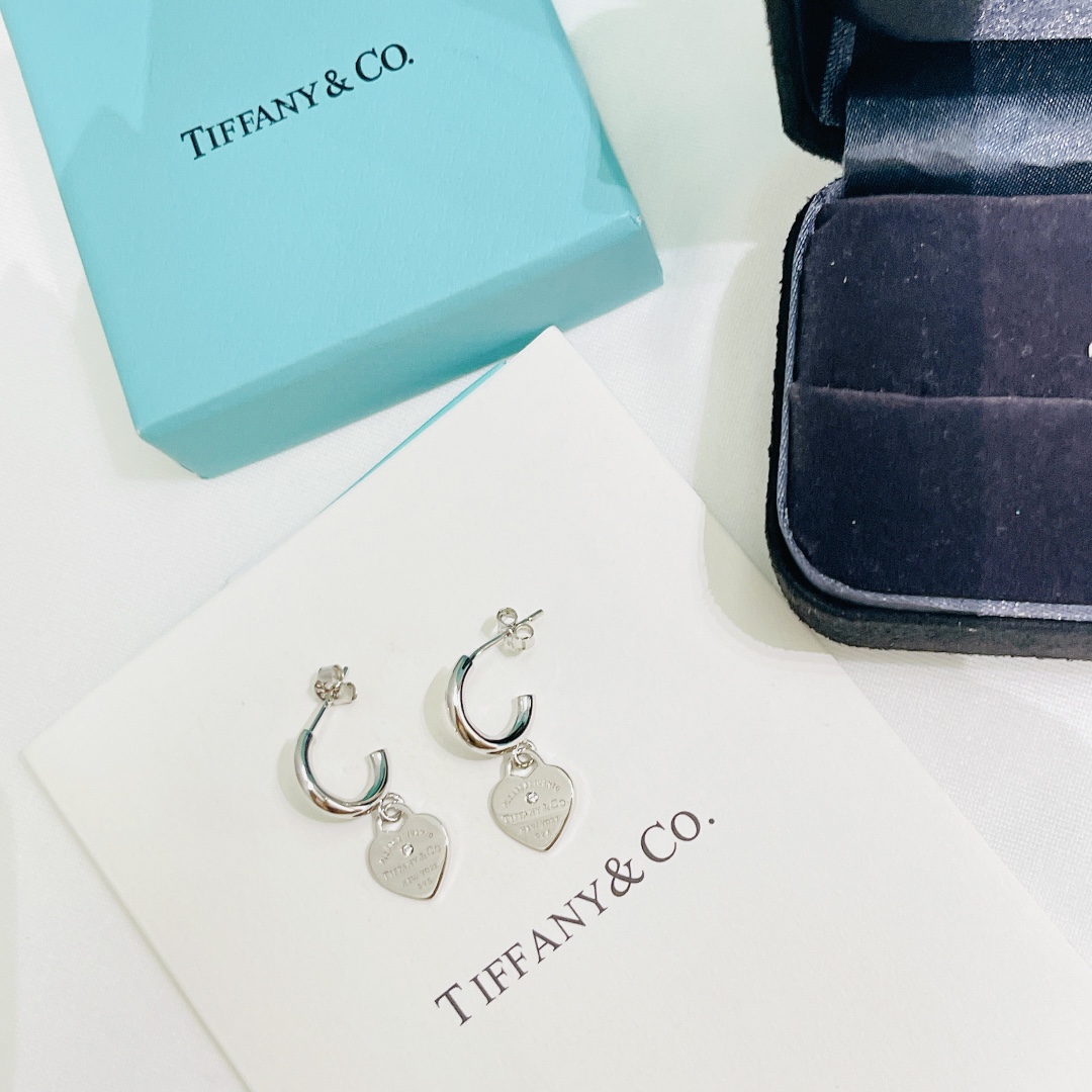 T*f*ny 925 silver earrings 002