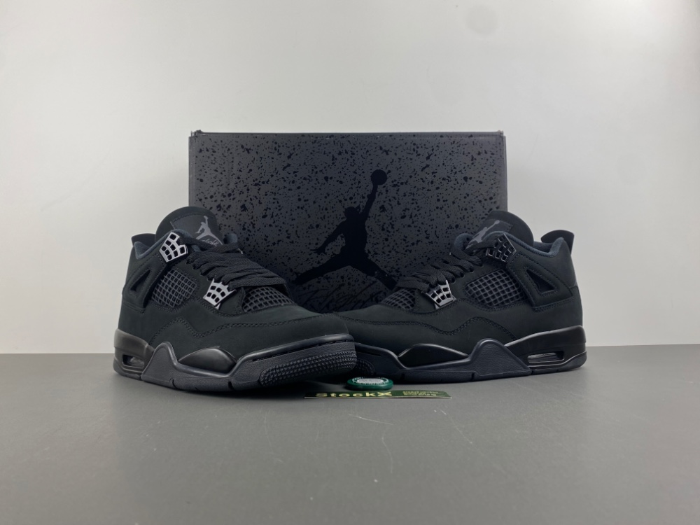 Air Jordan 4 “Black Cat” FV5029-010